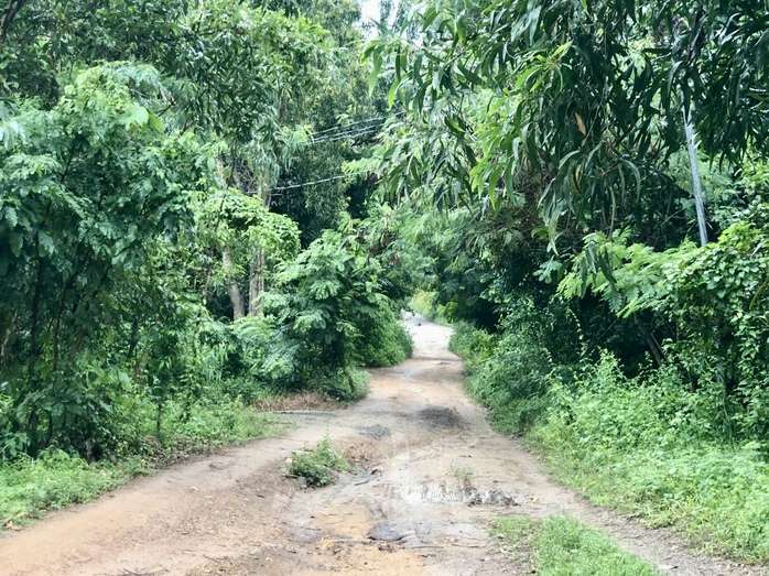 Nghi án con trai sát hại mẹ, tấn công chị gái
