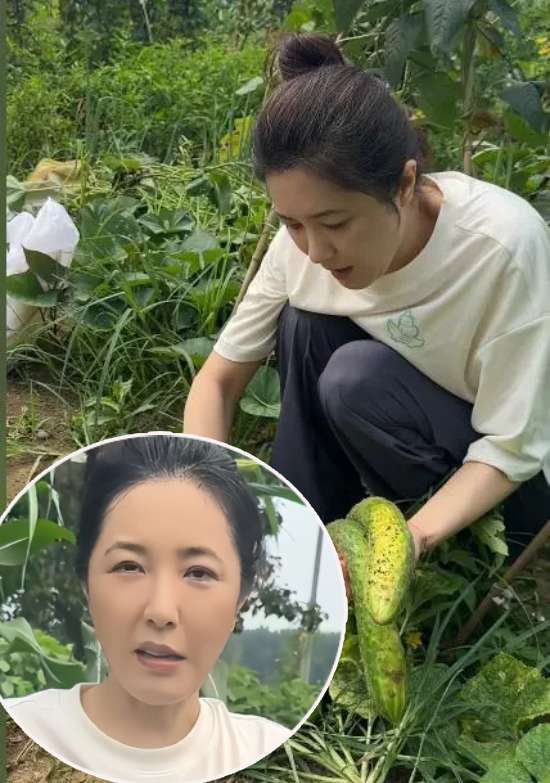 Sao châu Á 3/11: Trương Bá Chi ghi điểm 'đẹp người, đẹp nết' nhờ hành động nhỏ