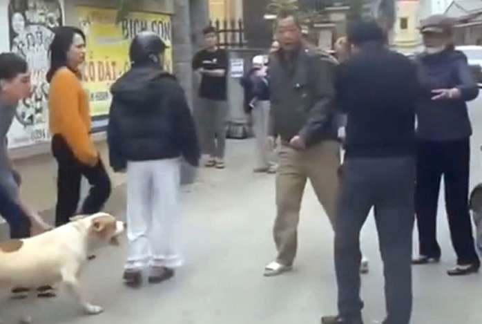  Tình huống pháp lý vụ "điều" chó dữ lao vào đám đông tấn công một phụ nữ